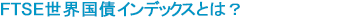 シティ世界国債インデックスとは?