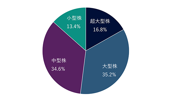 超大型株16.8%、大型株35.2%、中型株34.6%、小型株13.4%。