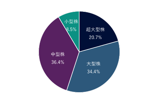 超大型株16.8%、大型株35.2%、中型株34.6%、小型株13.4%。