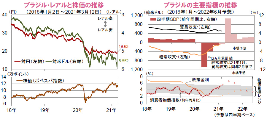 変異ウイルスが猛威を振るうブラジル 経済 政治の両面で先行き不透明が強まる 日興アセットマネジメント