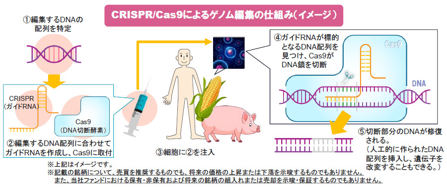 【図表】CRISPR/Cas9によるゲノム編集の仕組み(イメージ)