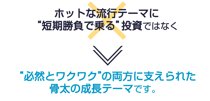 ホットな流行テーマに“短期勝負で乗る”投資ではなく“必然とワクワク”の両方に支えられた骨太の成長テーマです。