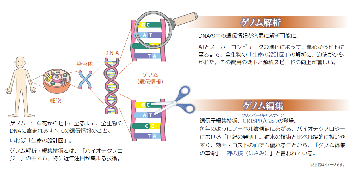 2021年における世界全体の単一遺伝子疾患治療の市場機会